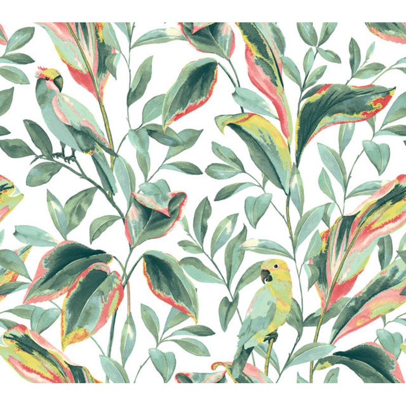 TC2653 White Coral Tropical Love Birds Wallpaper Per Bolt