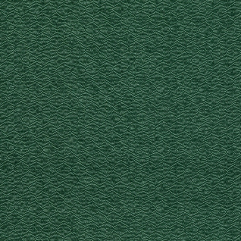 Threads Boundary Emerald Fabric
