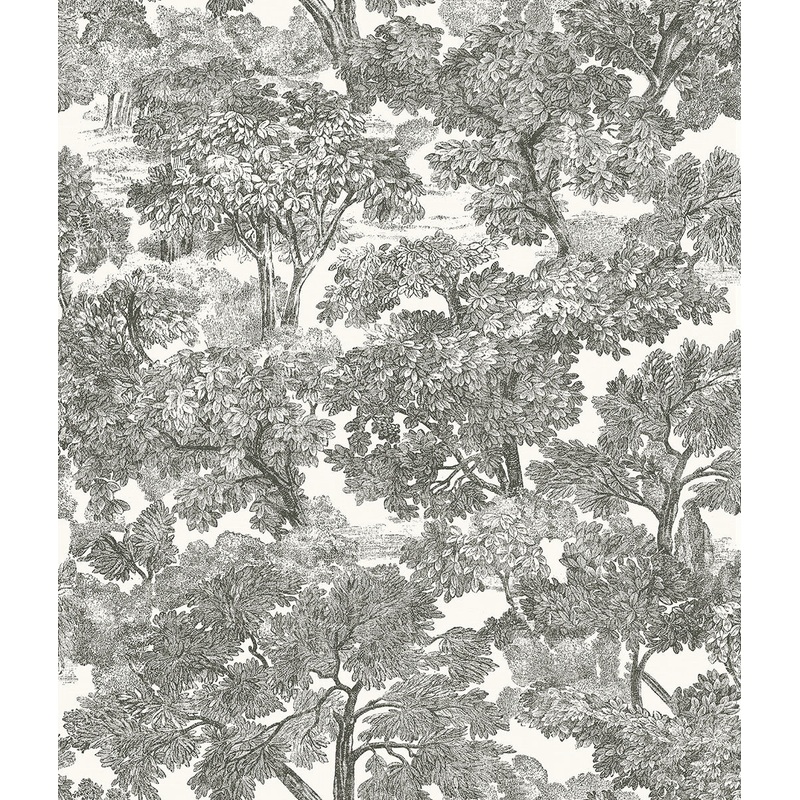 Spinney Black Toile Wallpaper Per Bolt